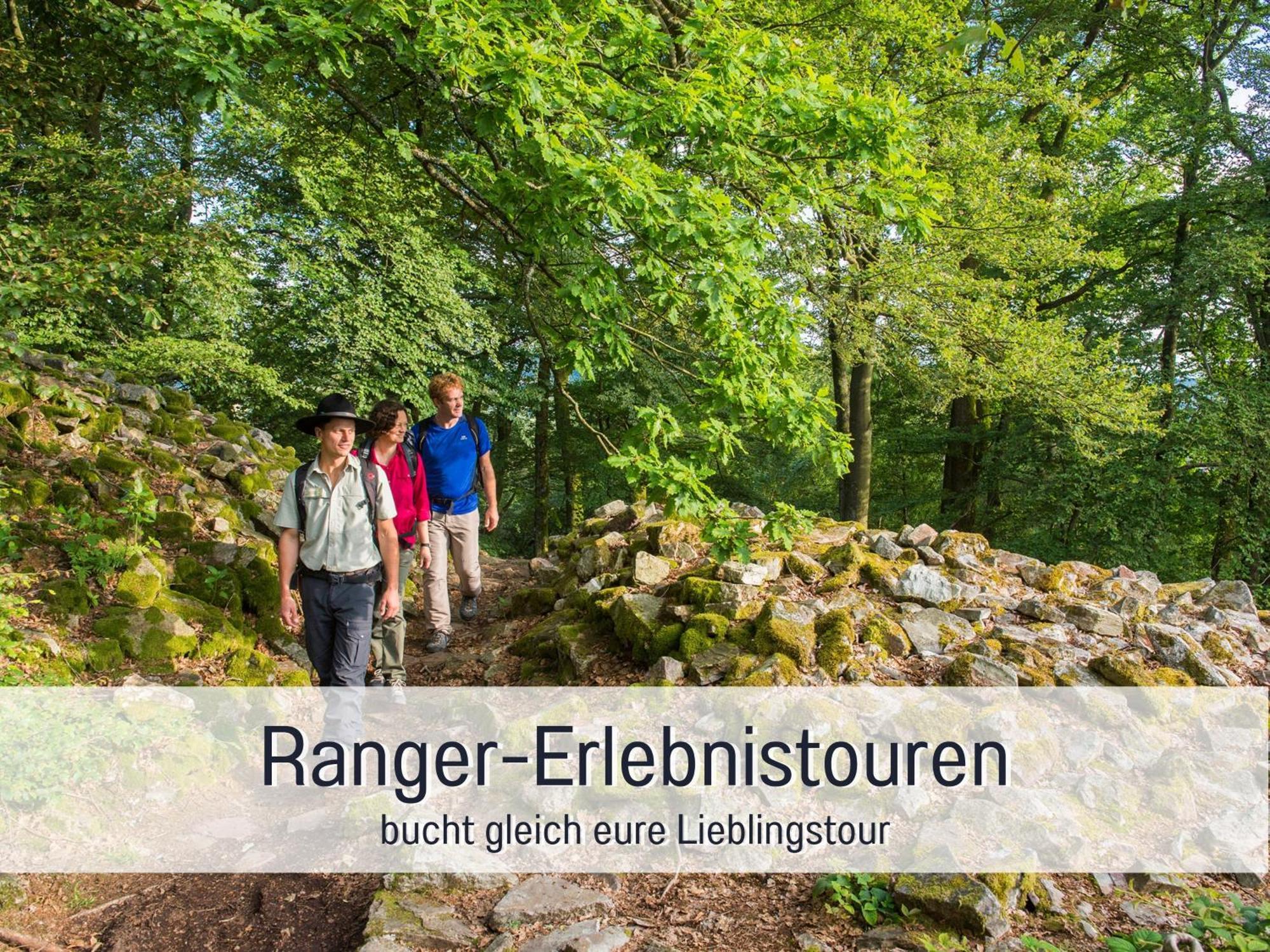 4 Sterne Ferienhaus "Zum Weiher" Allenbach Buitenkant foto
