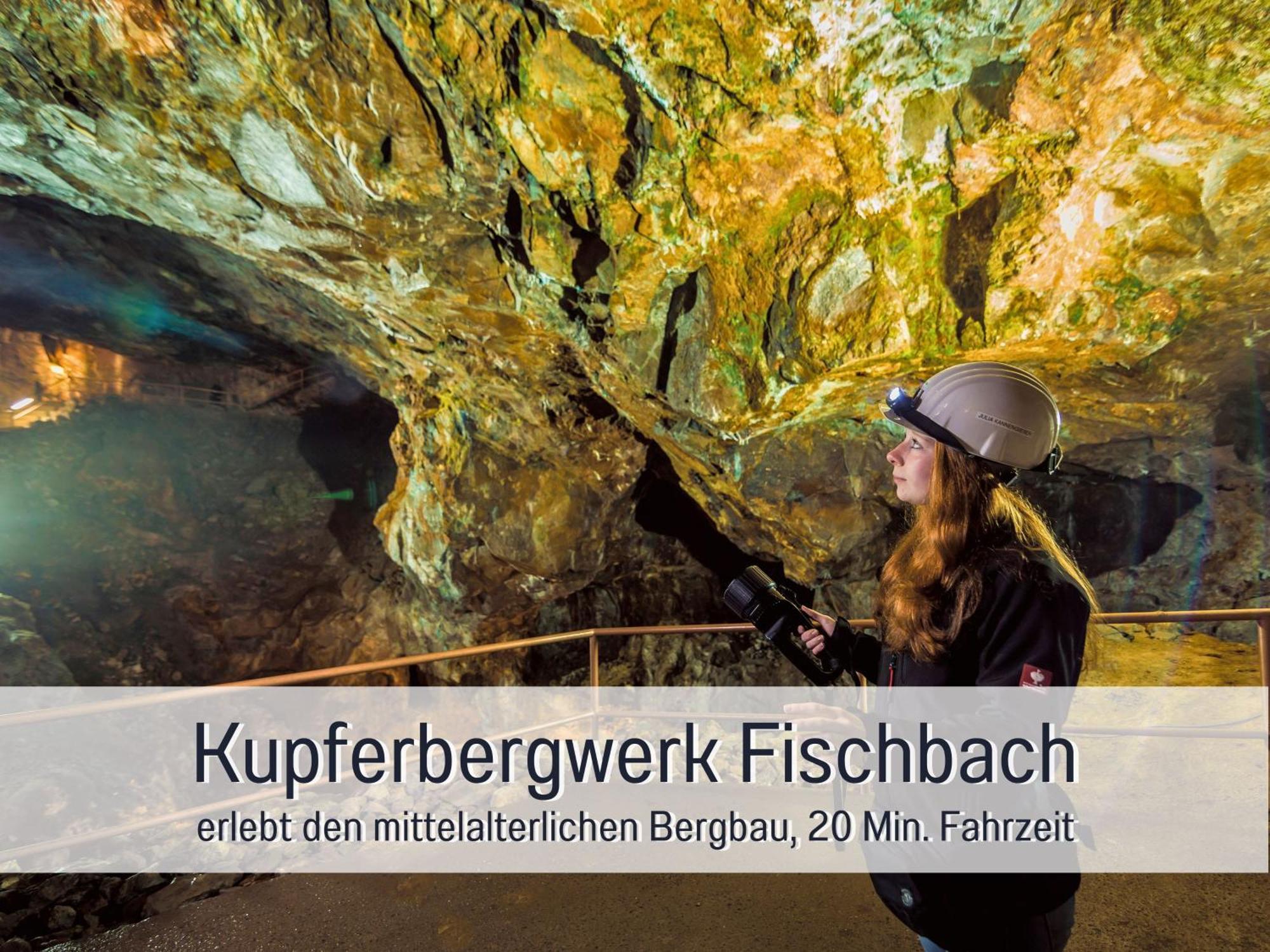 4 Sterne Ferienhaus "Zum Weiher" Allenbach Buitenkant foto